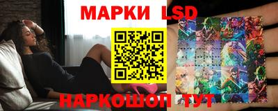 дмт Краснодар