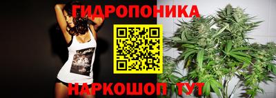 дмт Краснодар