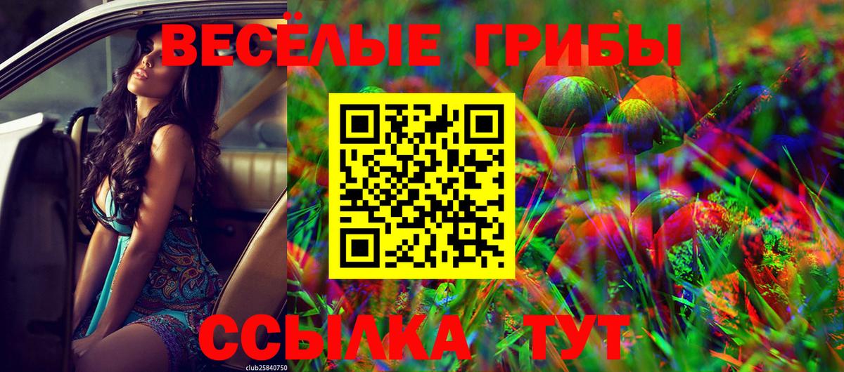 Галлюциногенные грибы прущие грибы  Вход с VPN  купить  цена  Когалым 